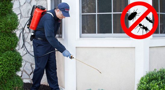 Gündoğmuş Gümüşkurt İlaçlama böcek ilaçlama ve haşere kontrolü — ilaclama-tr.com